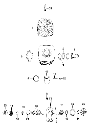 20 Cylindre,piston,vilbrequin